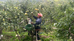 展示中华保守文化的深挚底蕴取现代科技迅猛成